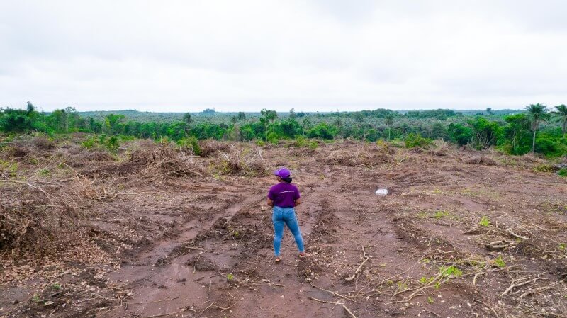 How land banking in Nigeria works